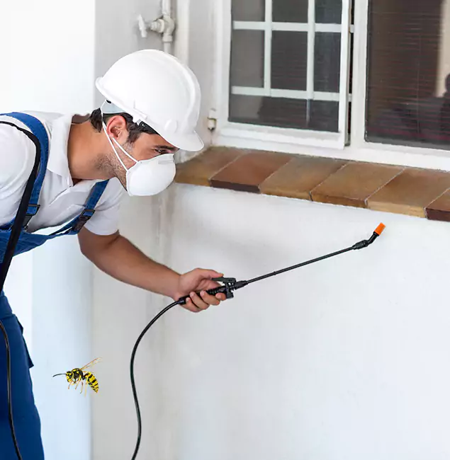 Why Montville Property Owners Choose Montville Pest Control Pro for Bee Nest Removal?