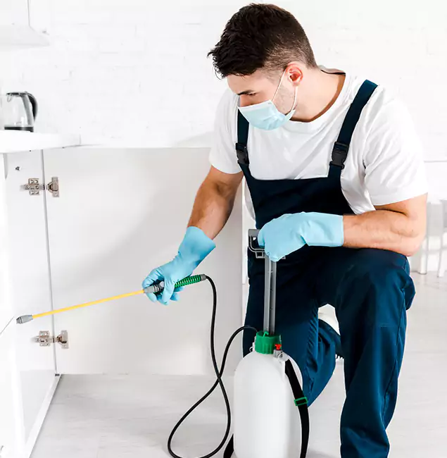 Why Choose Montville Pest Control Pro for Emergency Pest Control in Montville?