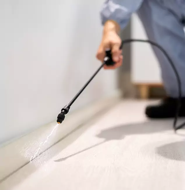 Why Choose Montville Pest Control Pro for Termite Treatment in Montville, NJ?
