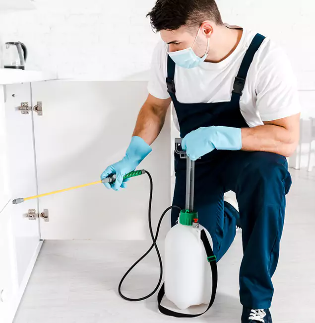 Why Montville, NJ Homeowners Trust Us for German Roach Control?