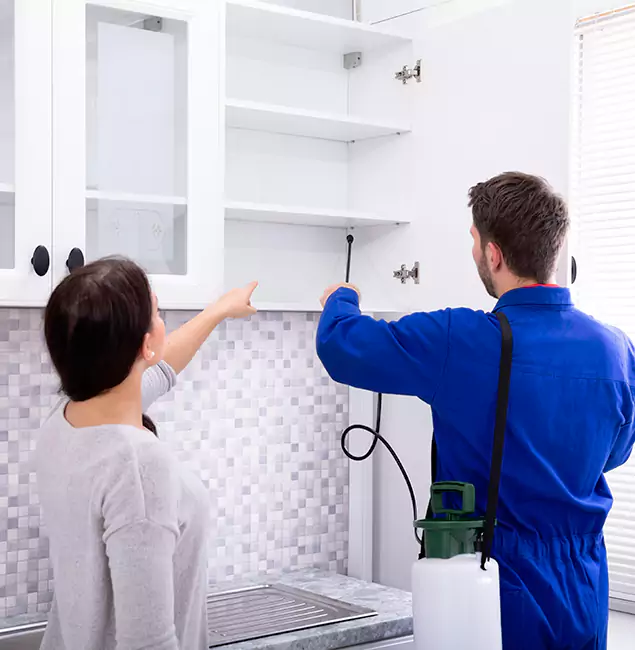 Why Montville Property Owners Choose Montville Pest Control Pro for Ground Bee Removal?