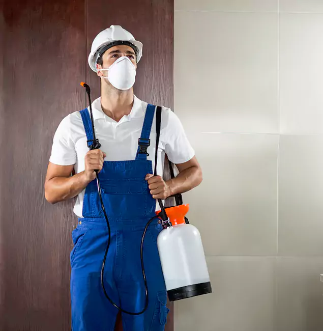 Why Choose Us for Heat Treatment for Termites in Montville, NJ?