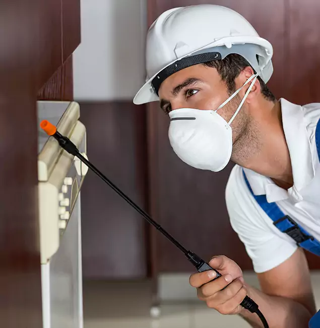 Why Montville Homeowners Rely on Montville Pest Control Pro for Tick Treatment?