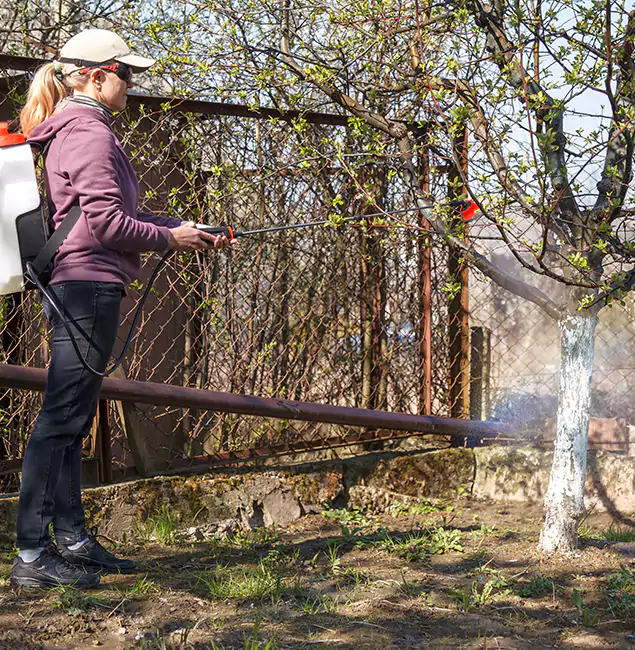 Why Montville Homeowners Choose Montville Pest Control Pro for Mosquito Abatement?