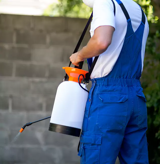 Why Montville Homeowners Rely on Montville Pest Control Pro for Mosquito Control?