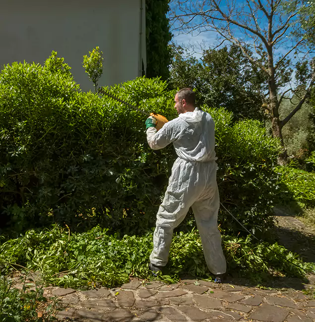 Why Montville Pest Control Pro Leads Mosquito Control in Montville, NJ?