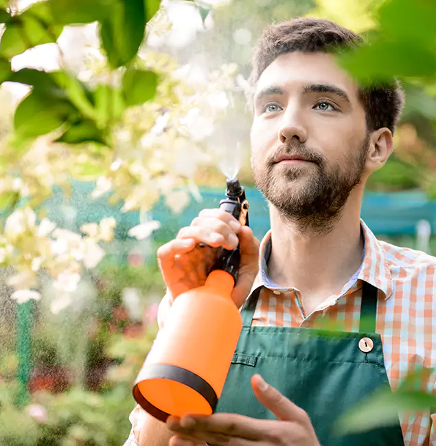 Why Montville Pest Control Pro Is the Best Mosquito Control Company in Montville, NJ?
