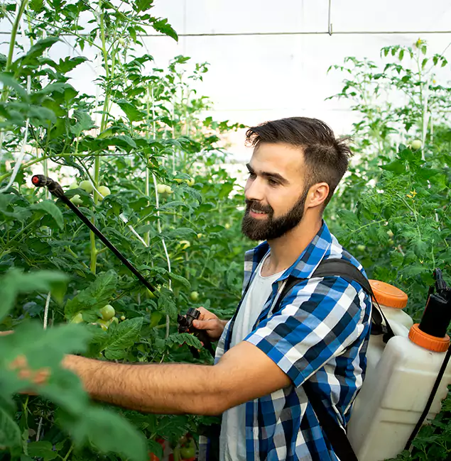 Why Montville Homeowners Choose Montville Pest Control Pro for Mosquito Spraying?