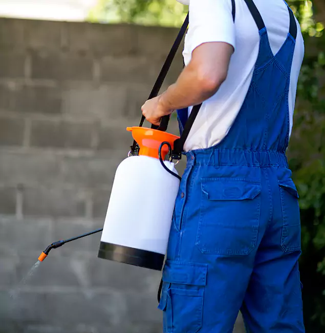 Why Montville Pest Control Pro Delivers the Best Mosquito Control in Montville, NJ?
