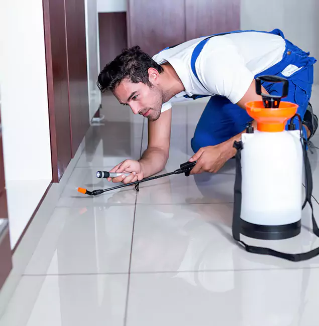 Why Montville Pest Control Pro Is the Proven Choice in Montville, NJ?