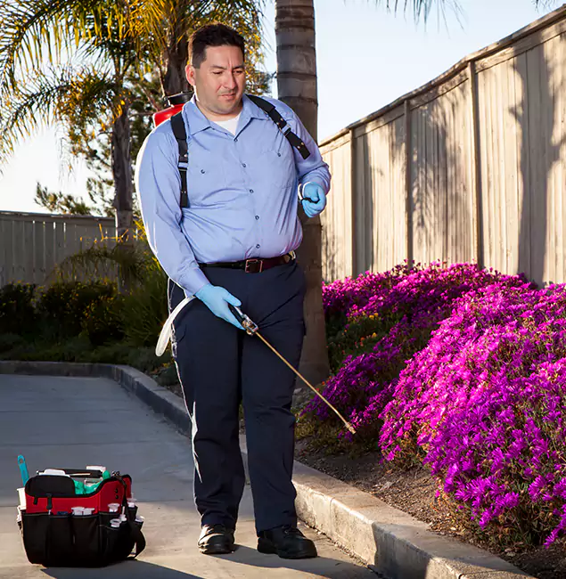 Why Choose Montville Pest Control Pro in Montville, NJ?