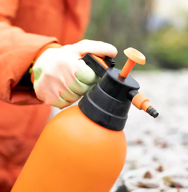 Why Choose Montville Pest Control Pro for Orange Termite Treatment in Montville, NJ?