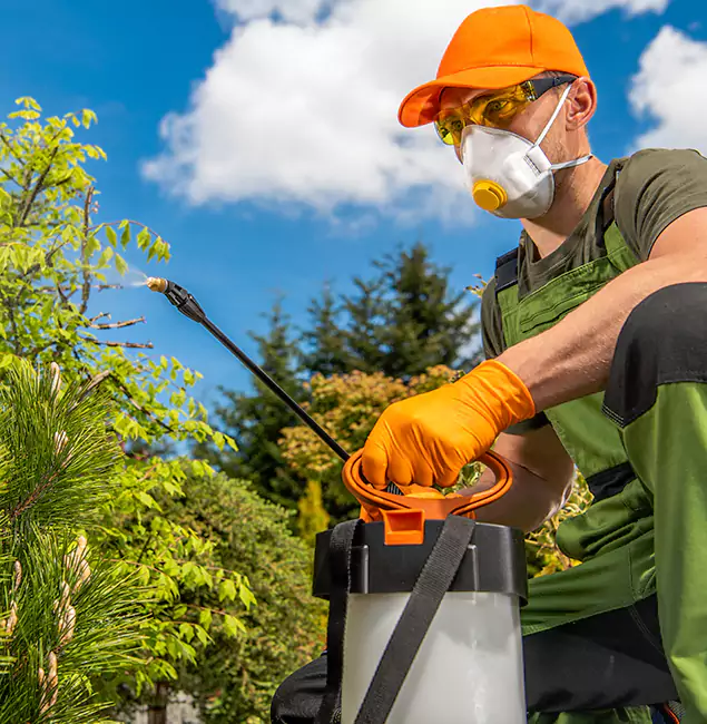 Why Choose Montville Pest Control Pro for Outdoor Pest Control in Montville, NJ?
