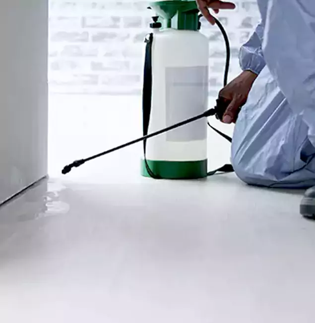 Why Choose Montville Pest Control Pro for Rat Exterminator in Montville, NJ?