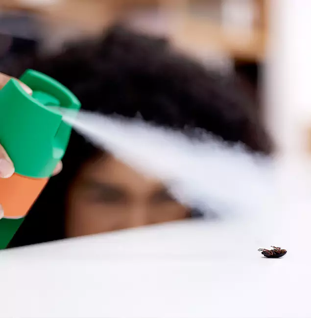 Why Montville, NJ Homeowners Choose Montville Pest Control Pro for Roach Pest Control?