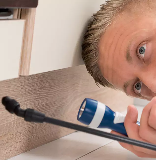 Why Choose Montville Pest Control Pro for Rodent Exterminator in Montville, NJ?
