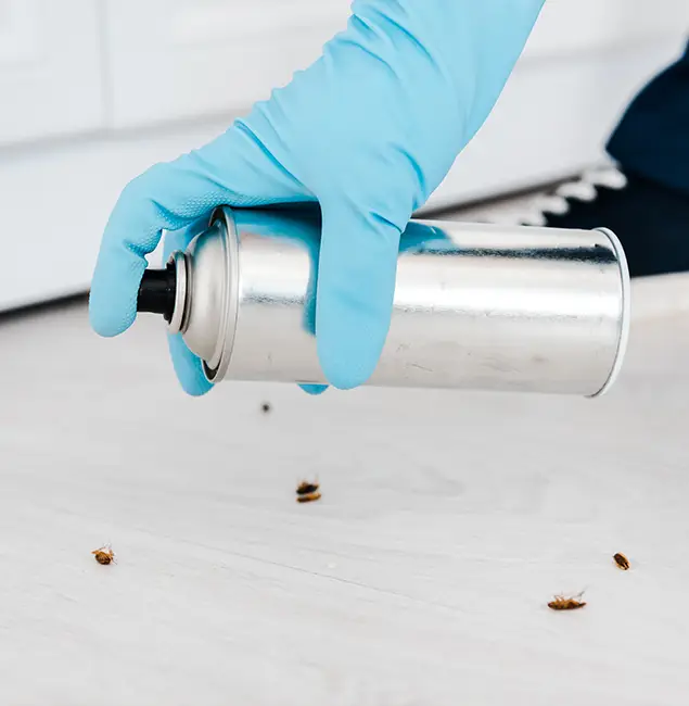 Why Choose Montville Pest Control Pro for Safe Bed Bug Treatment in Montville, NJ?