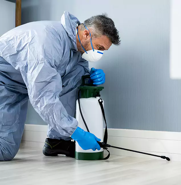Why Choose Montville Pest Control Pro for Subterranean Termites Treatment in Montville, NJ?