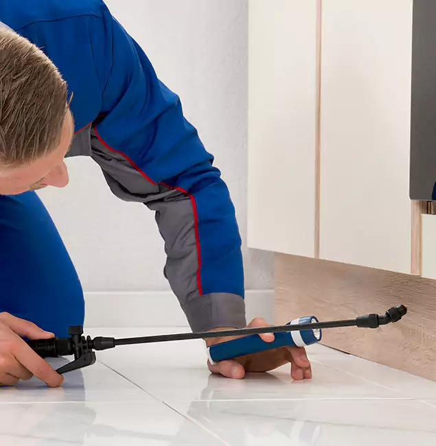 Why Montville Residents Choose Montville Pest Control Pro to Get Rid of Sugar Ants?