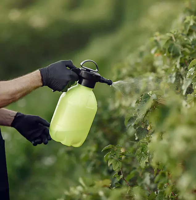 Why Montville Homeowners Choose Montville Pest Control Pro for Yard Tick Treatment?
