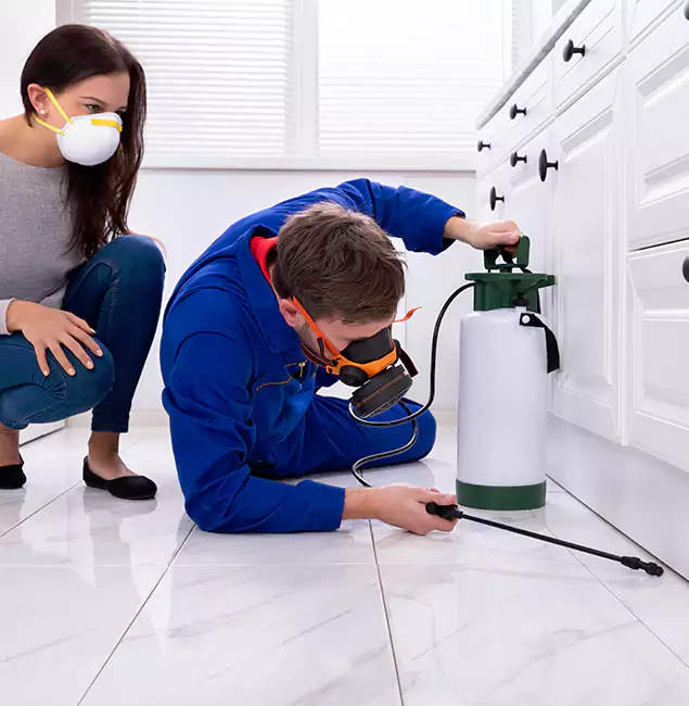 Why Choose Wood Termite Treatment by Montville Pest Control Pro in Montville, NJ?