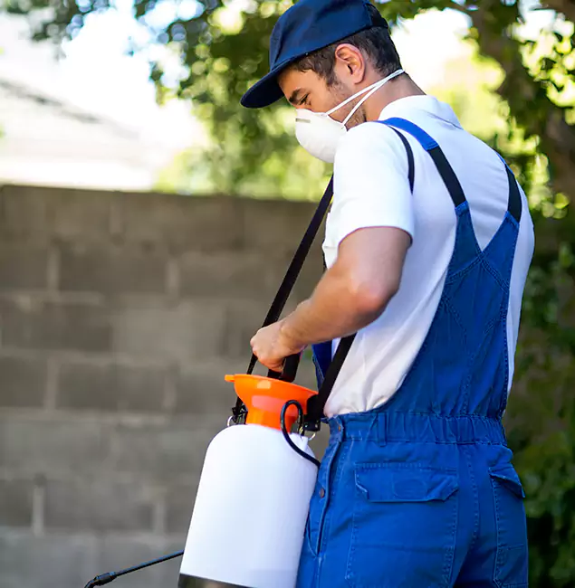 Why Montville Pest Control Pro Is the Right Choice for Yellow Jacket Removal in Montville, NJ?