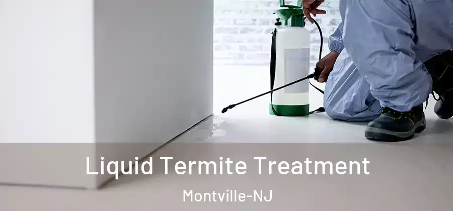 Liquid Termite Treatment Montville-NJ