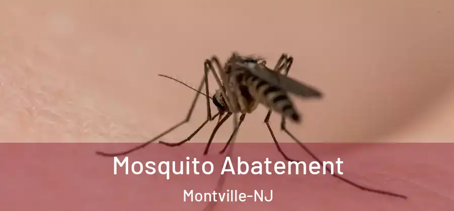  Mosquito Abatement Montville-NJ