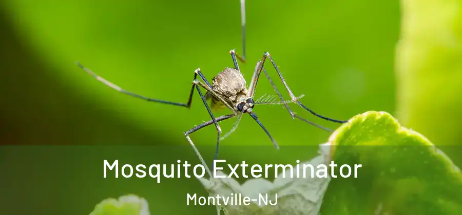 Mosquito Exterminator Montville-NJ