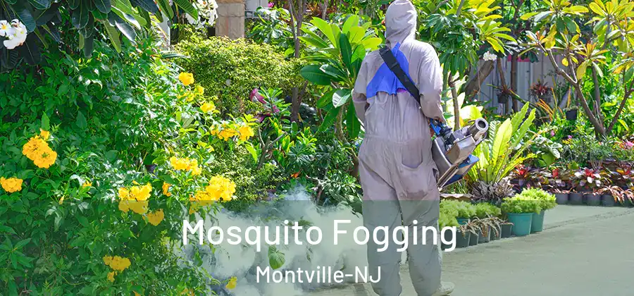 Mosquito Fogging Montville-NJ