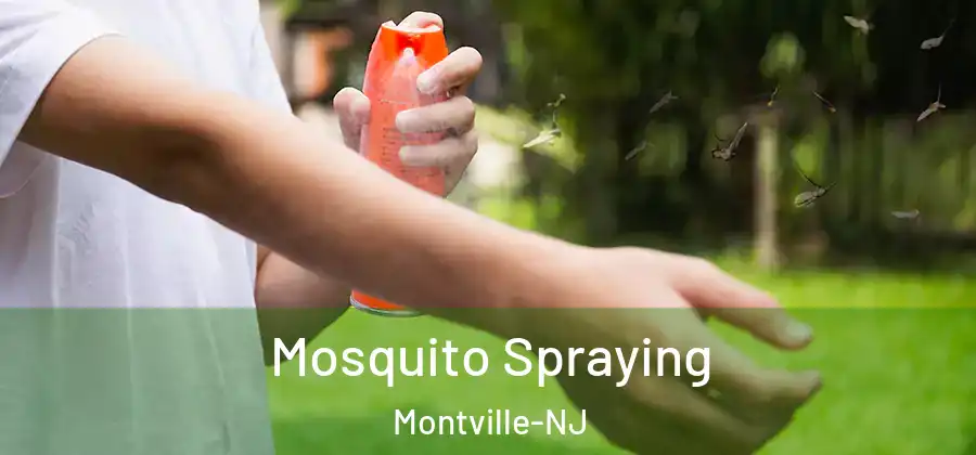 Mosquito Spraying Montville-NJ