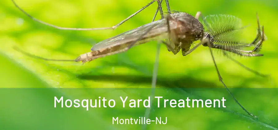 Mosquito Yard Treatment Montville-NJ
