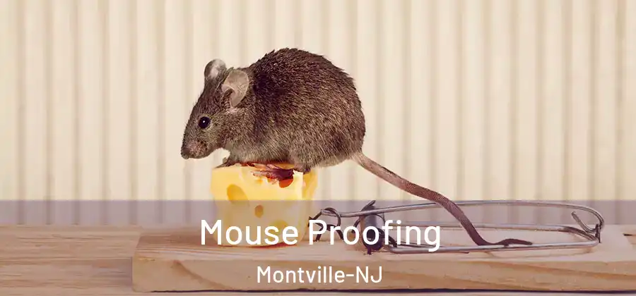 Mouse Proofing Montville-NJ