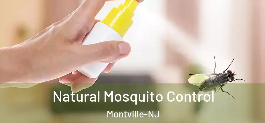  Natural Mosquito Control Montville-NJ
