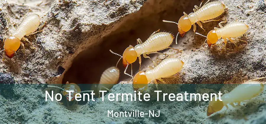 No Tent Termite Treatment Montville-NJ
