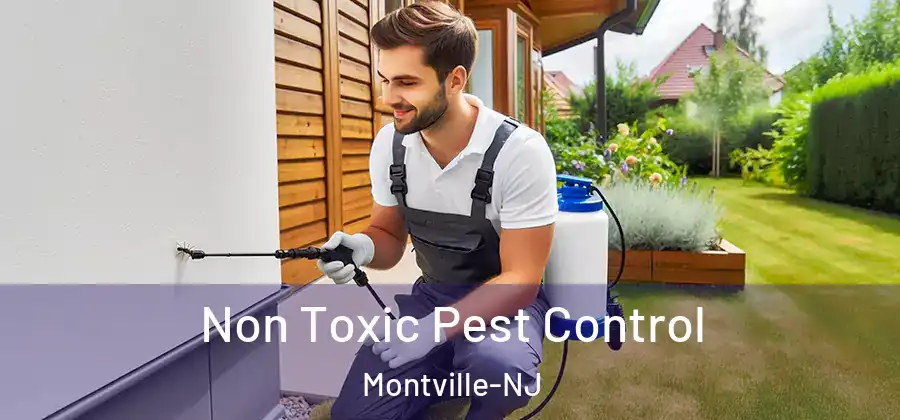 Non Toxic Pest Control Montville-NJ