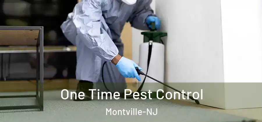  One Time Pest Control Montville-NJ