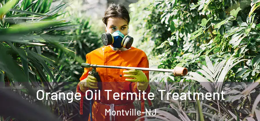 Orange Oil Termite Treatment Montville-NJ