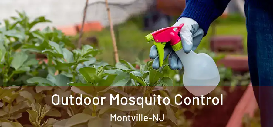 Outdoor Mosquito Control Montville-NJ