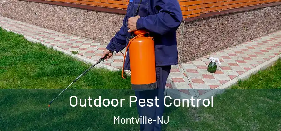 Outdoor Pest Control Montville-NJ