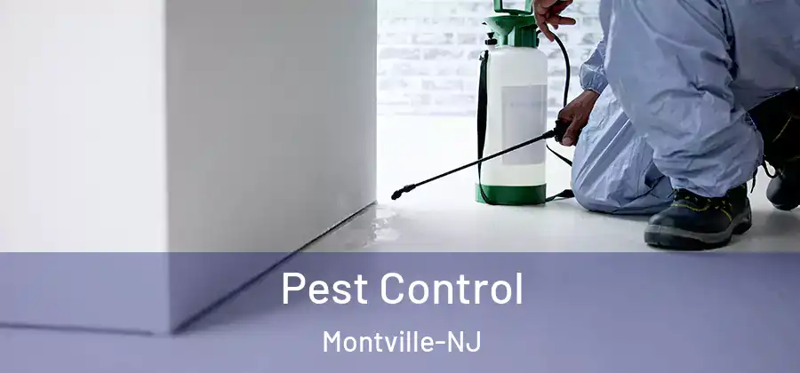  Pest Control Montville-NJ