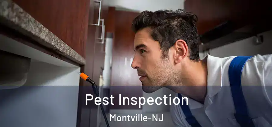 Pest Inspection Montville-NJ