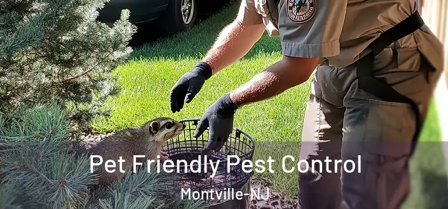 Pet Friendly Pest Control Montville-NJ