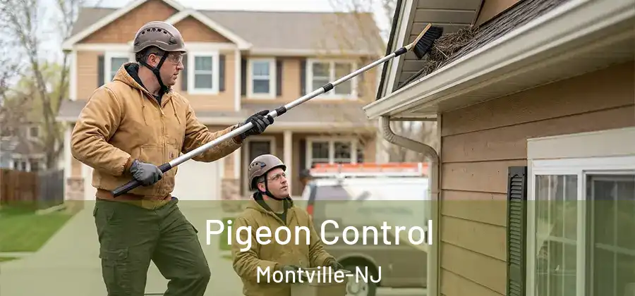 Pigeon Control Montville-NJ