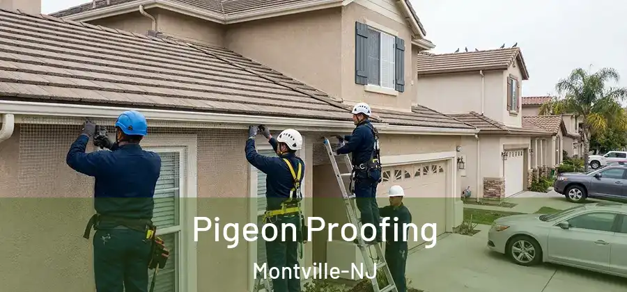 Pigeon Proofing Montville-NJ
