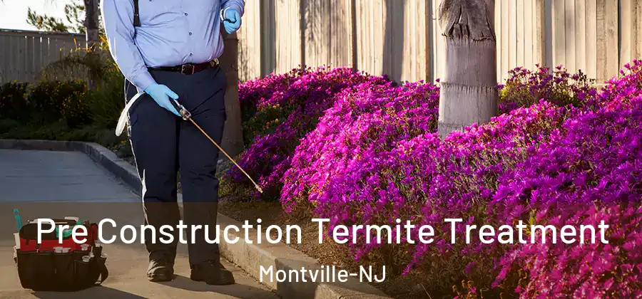 Pre Construction Termite Treatment Montville-NJ