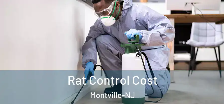 Rat Control Cost Montville-NJ