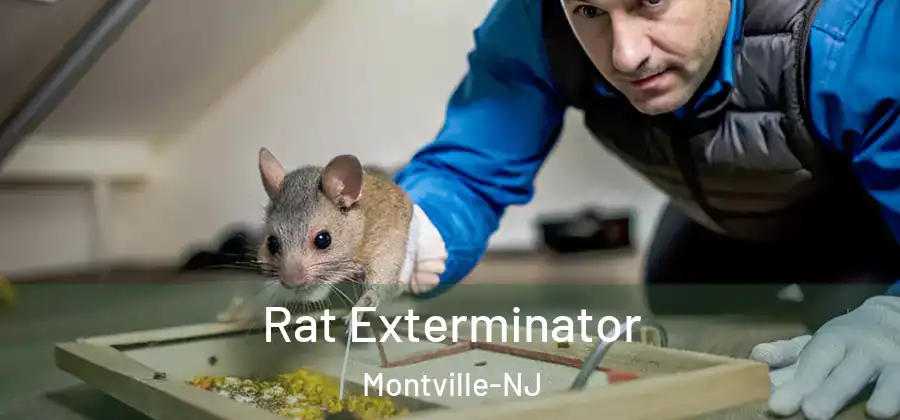 Rat Exterminator Montville-NJ
