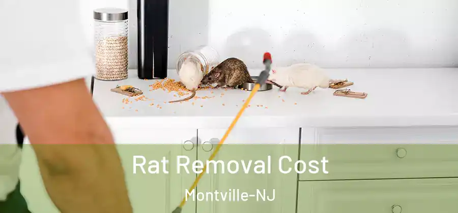 Rat Removal Cost Montville-NJ