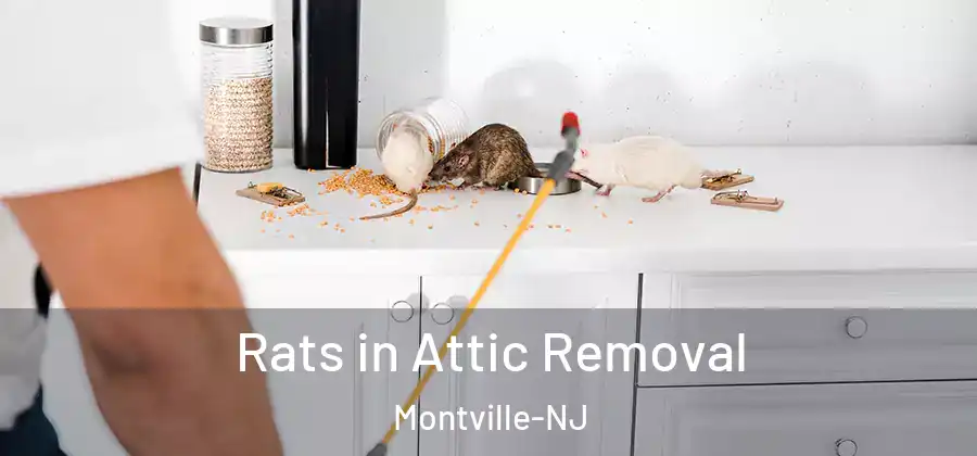  Rats in Attic Removal Montville-NJ